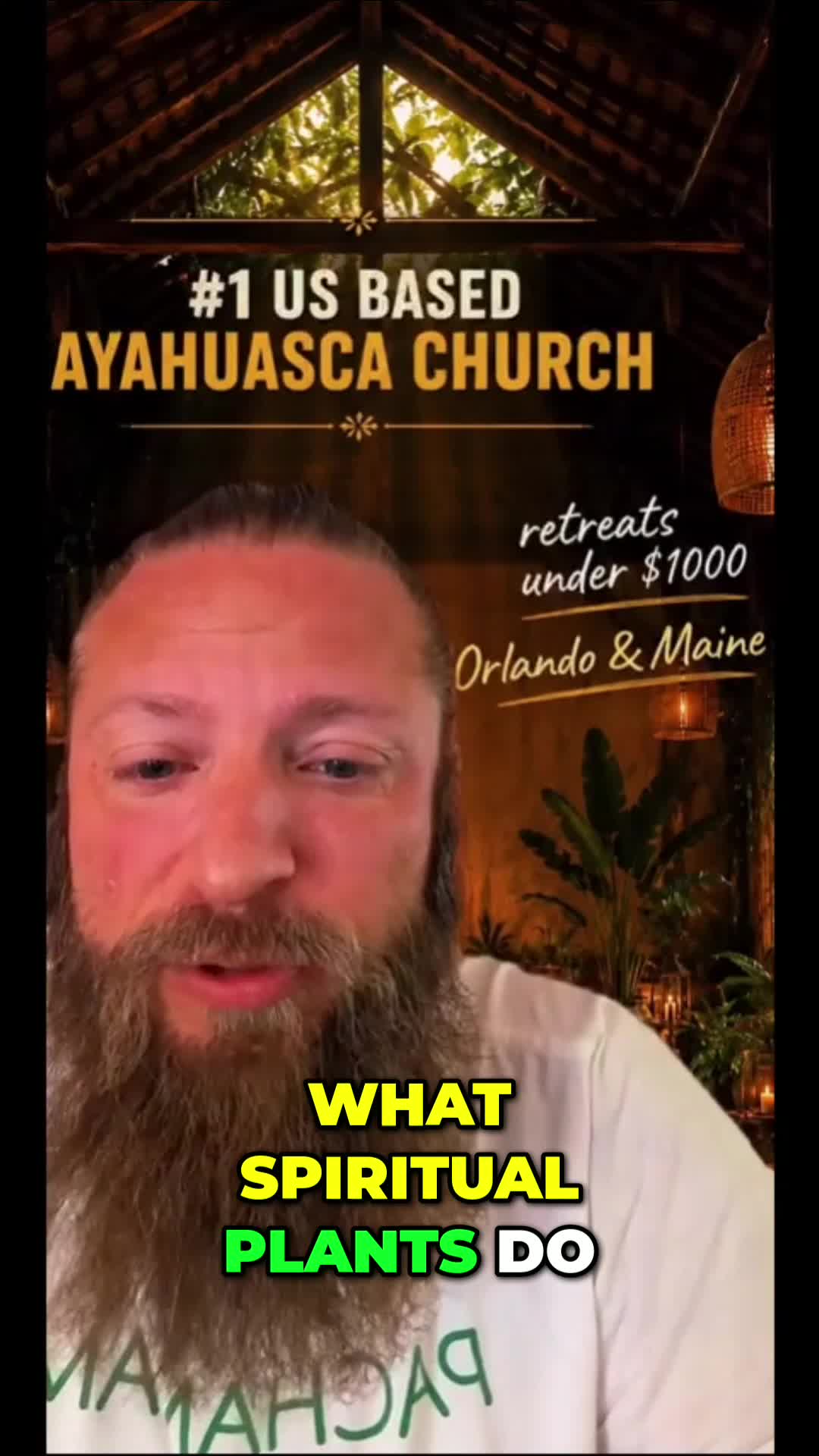 @Pachamama Ayahuasca Sanctuary
