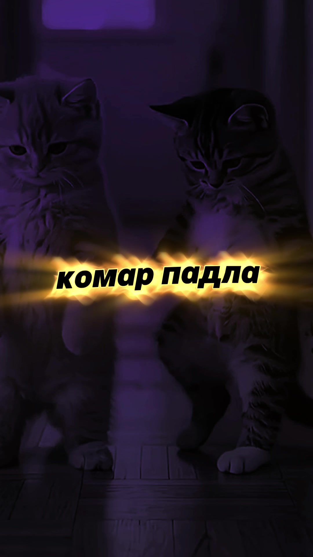 @МУЗ✯ОN