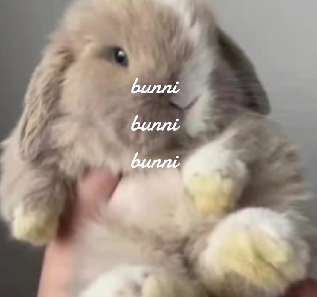 @໒꒰ྀི ˶&bull; ༝ &bull;˶ ྀི১
