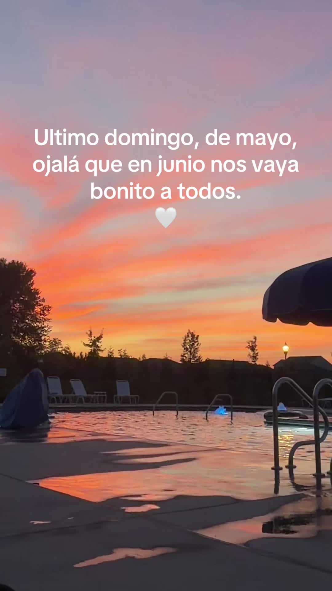 @🌻Soy Lau🌻