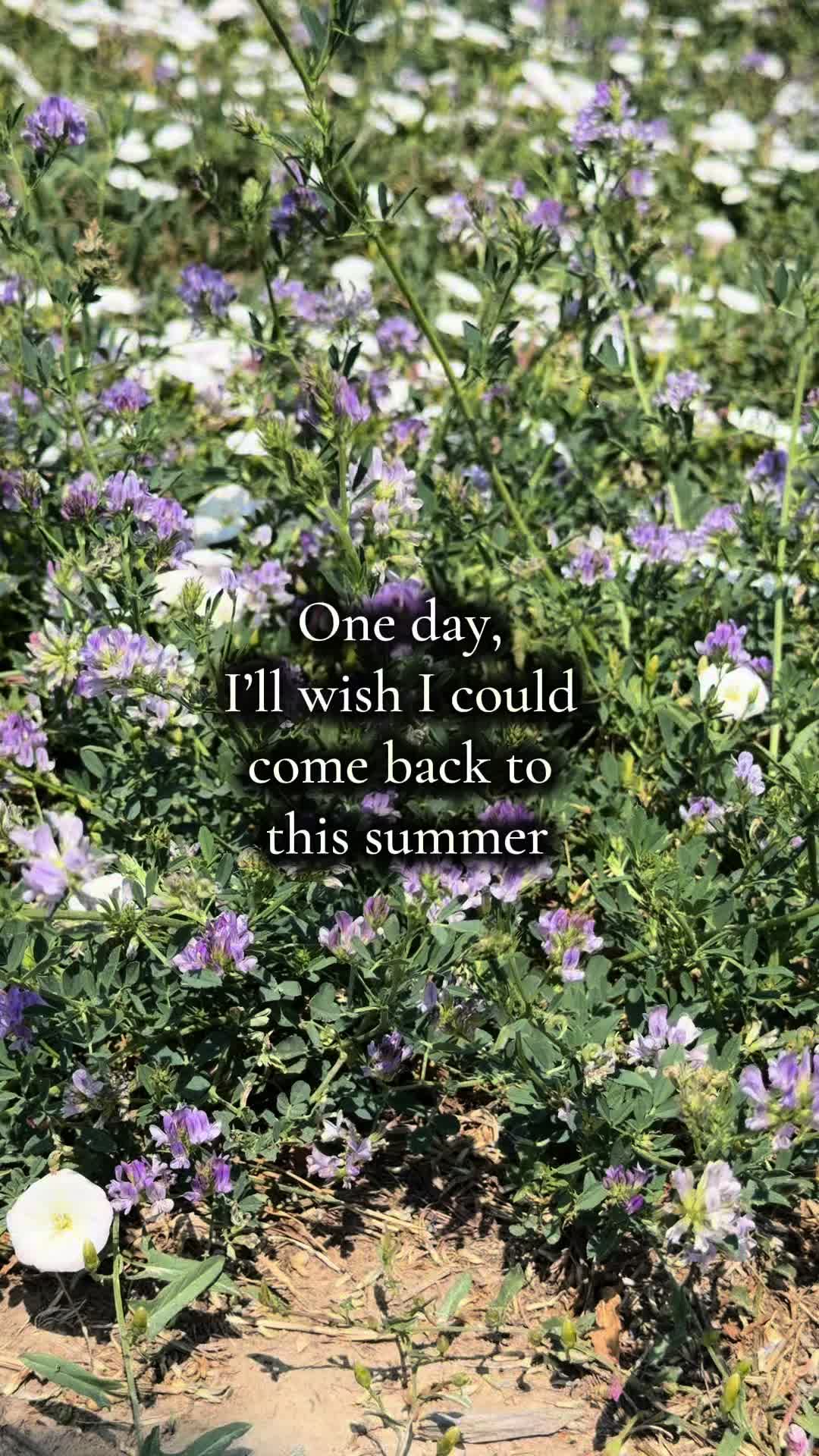 @🌻&dagger;HealthyHearted𝓂♡𝓂𝓂𝒶&dagger;🌻