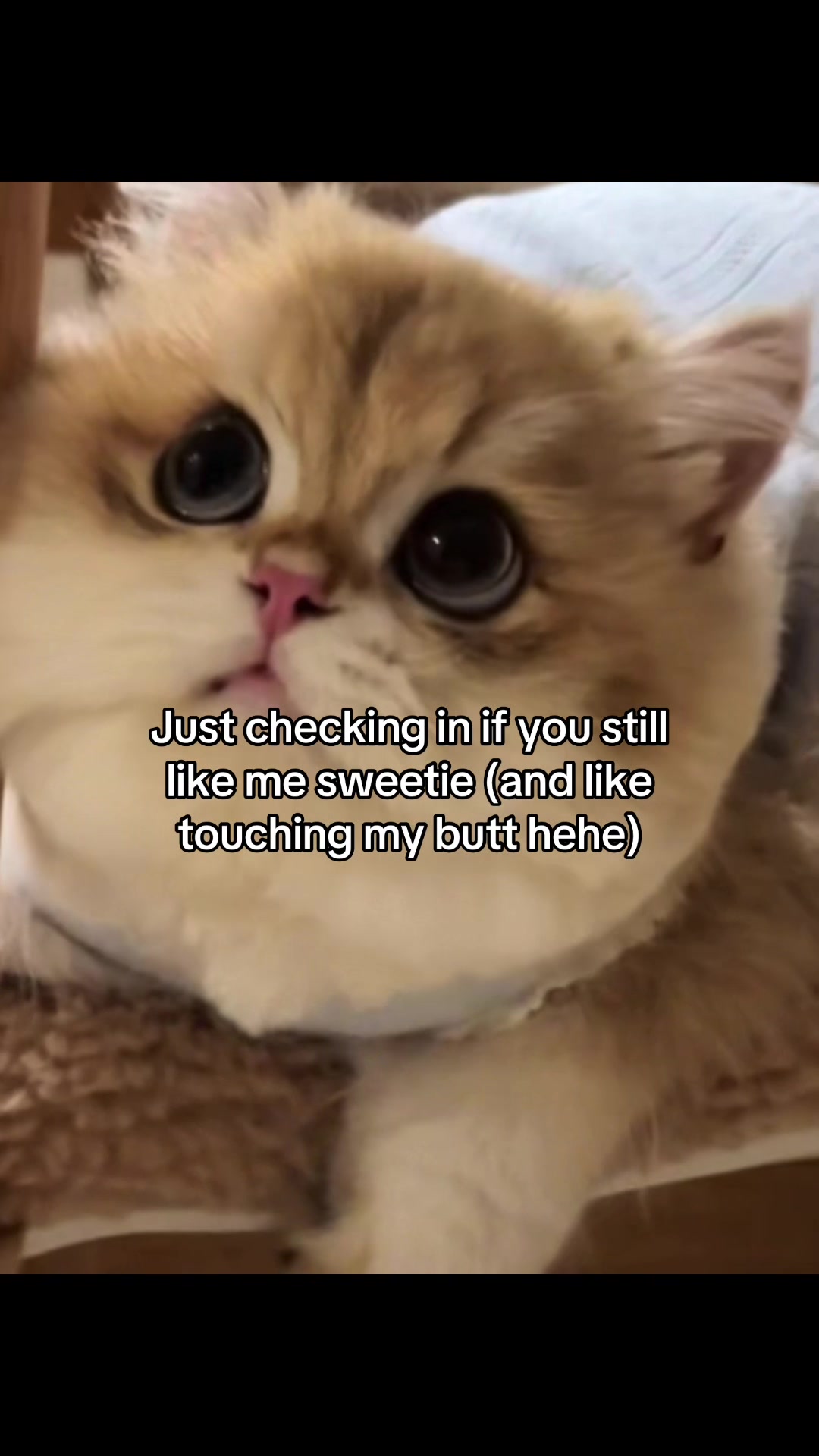 @Boxi
