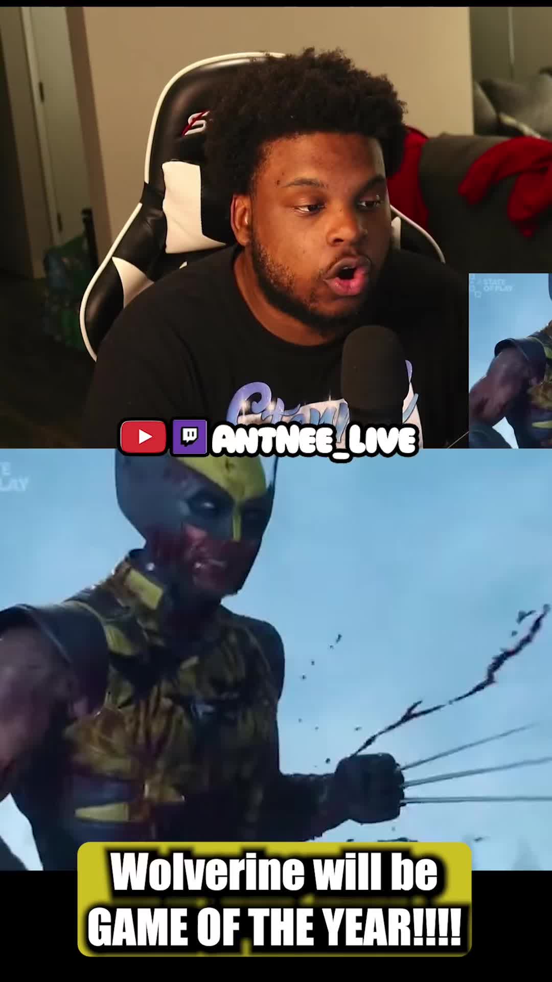 @AntNee Live