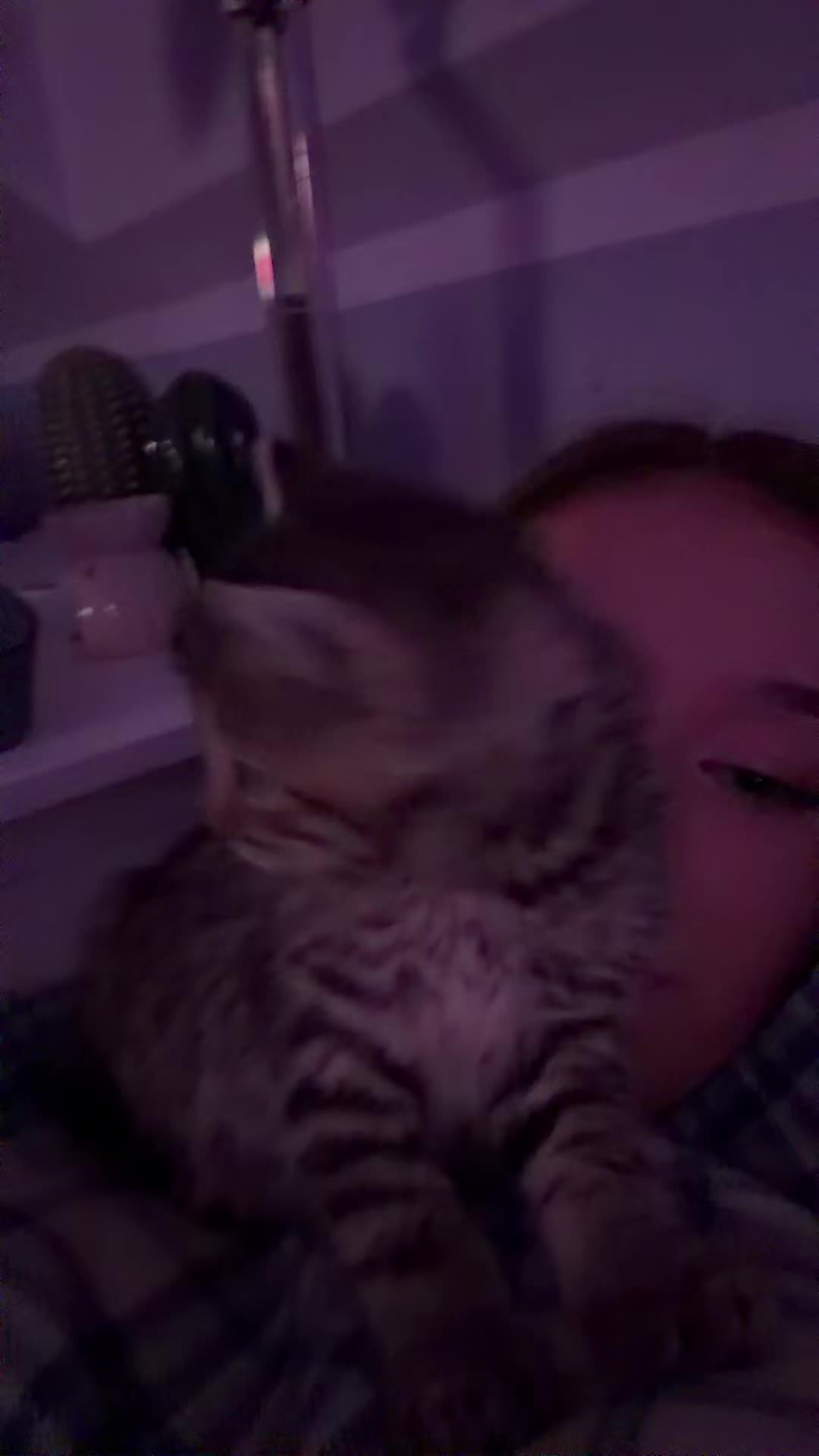 @_igbrillowskaoliwia_