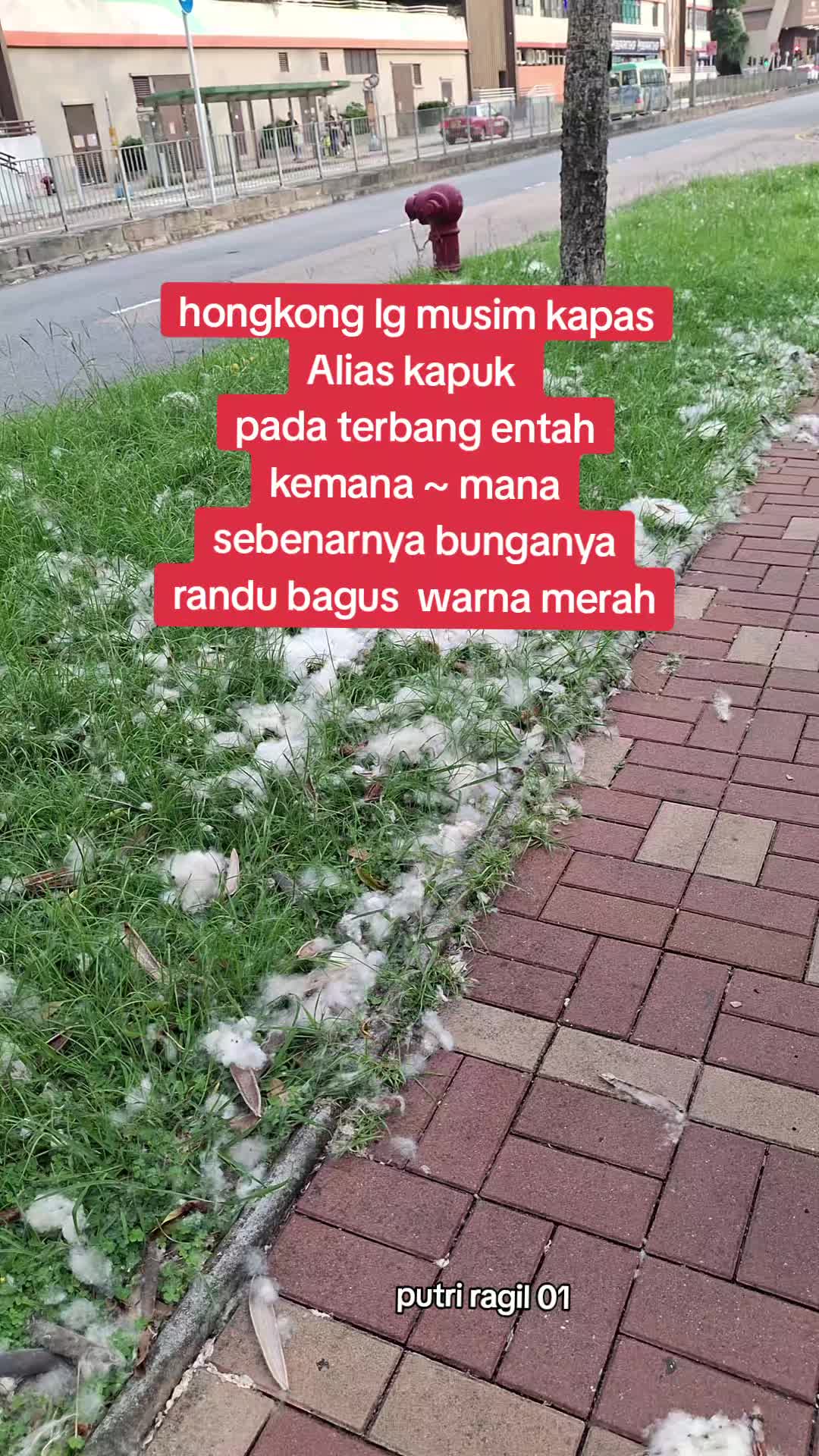 @putri ragil 01