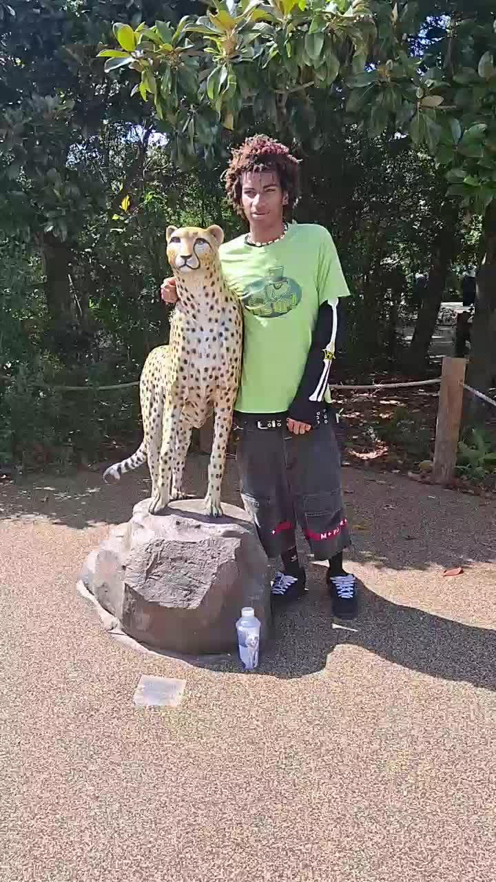 @majeboi