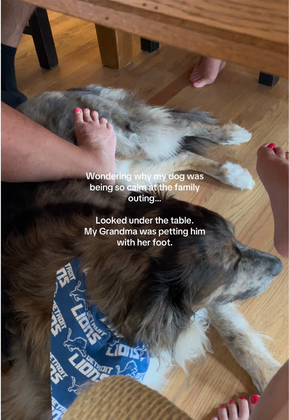 @THE LIFE OF KODA