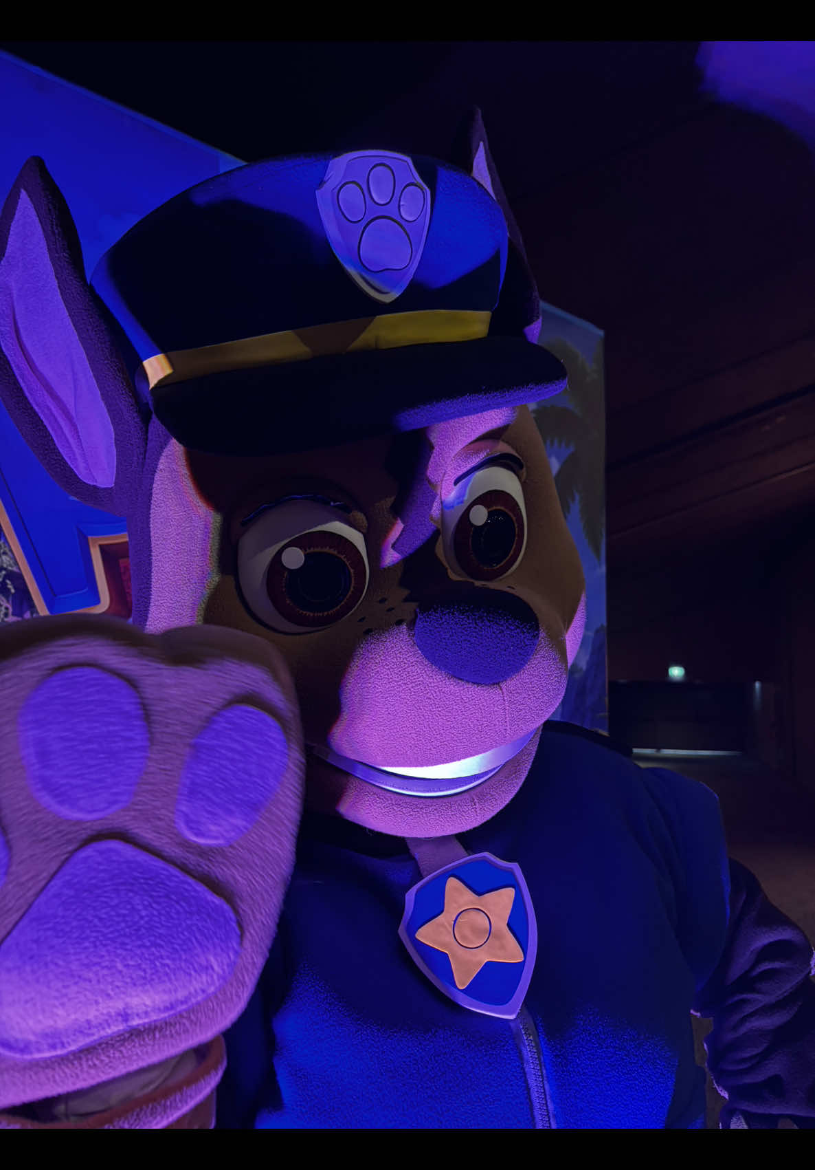 @Mascotopia🐻