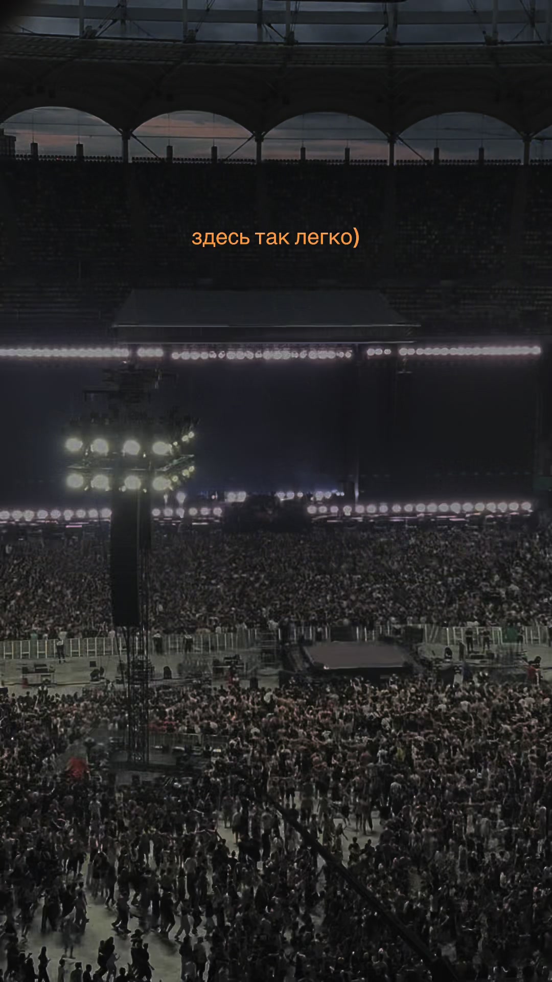 @косатка