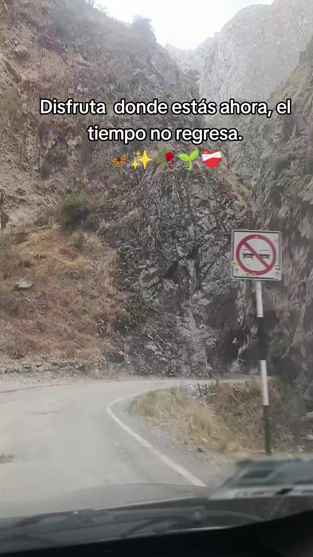 @🇵🇪💸PamelaPeralta❤️💚🤍