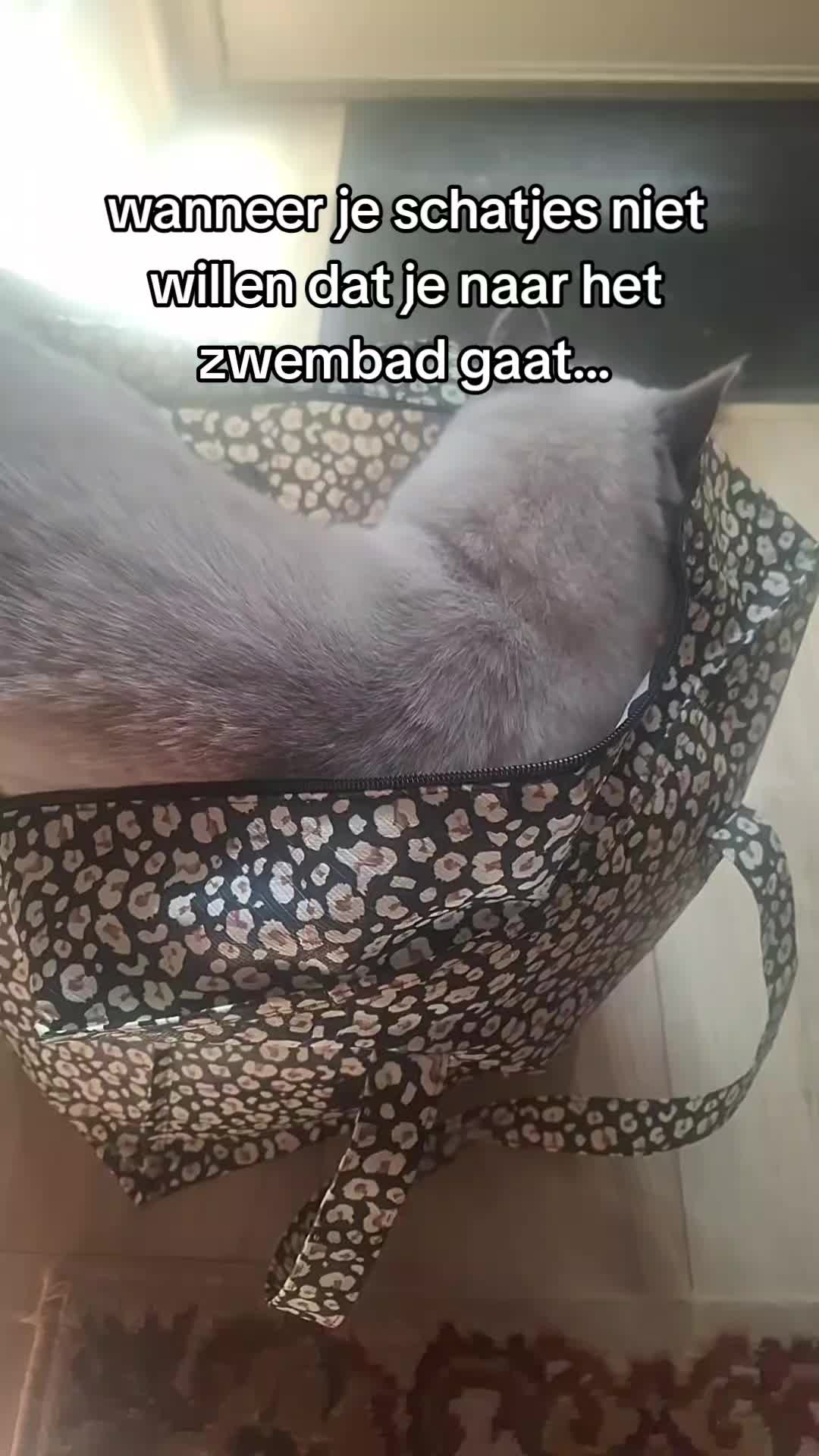 @โ ๐ ๐_๐ฝ๐ถ๐๐ณ ๐ โ
