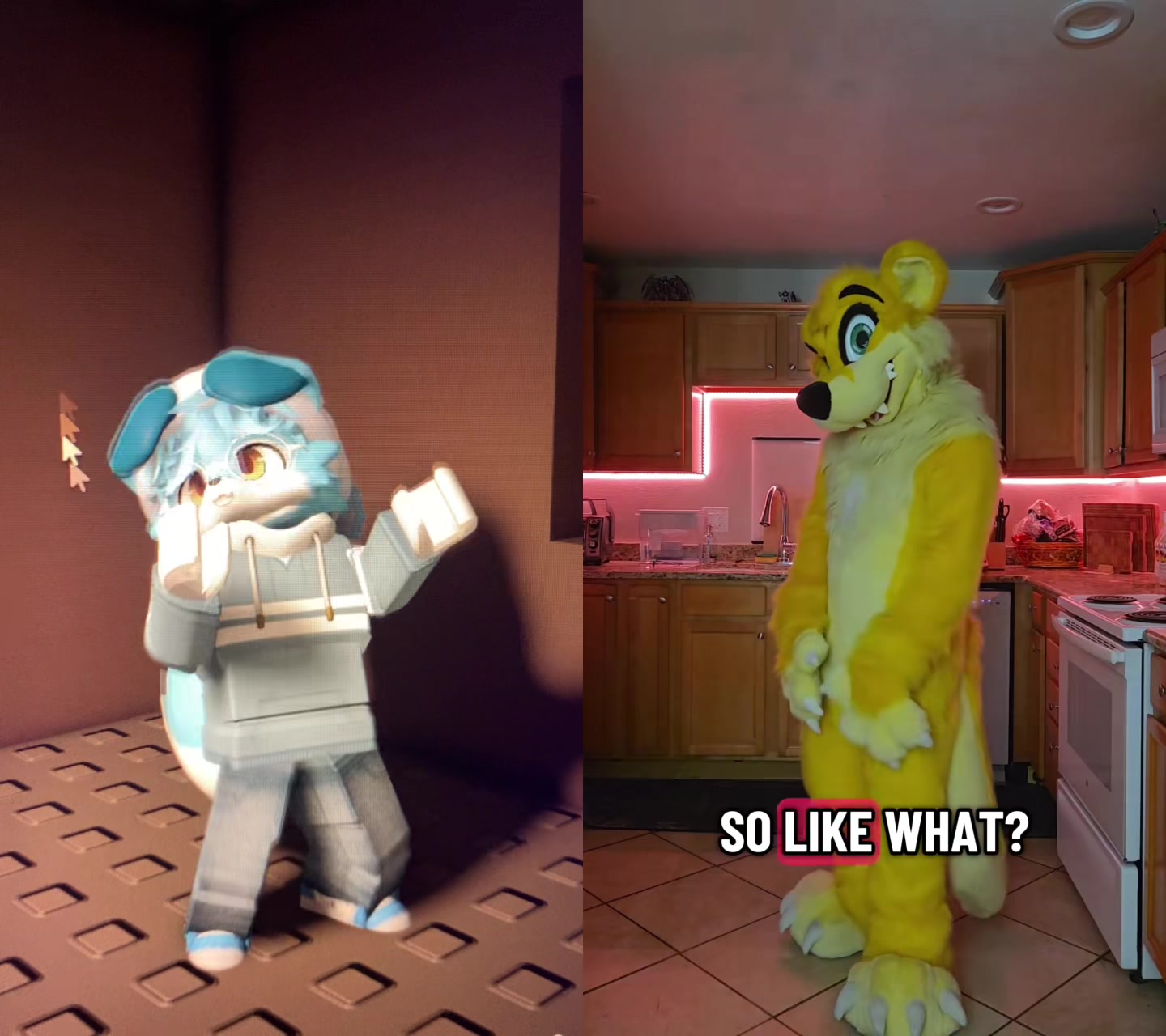 @Rilo the Fox