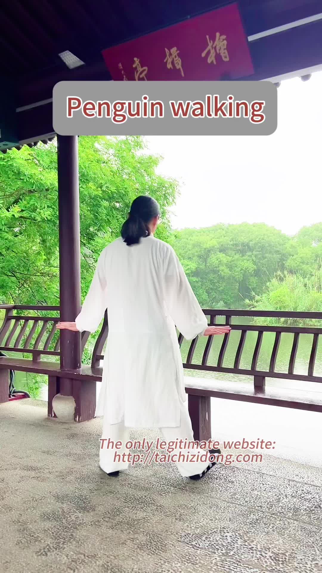 @Wudang.Zidong