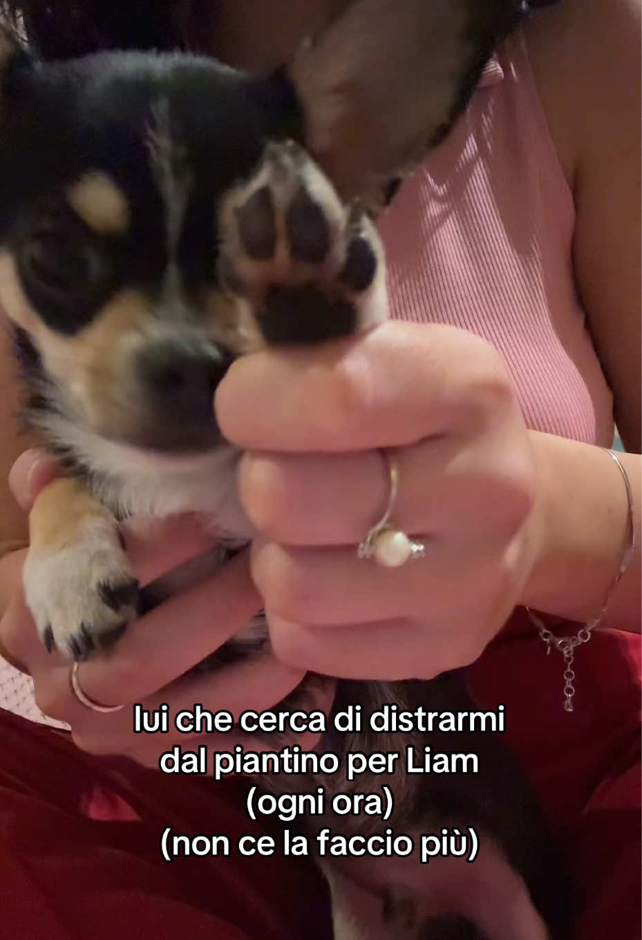 @Gabriella