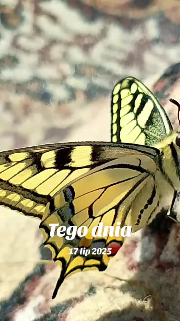 @MaGdaC