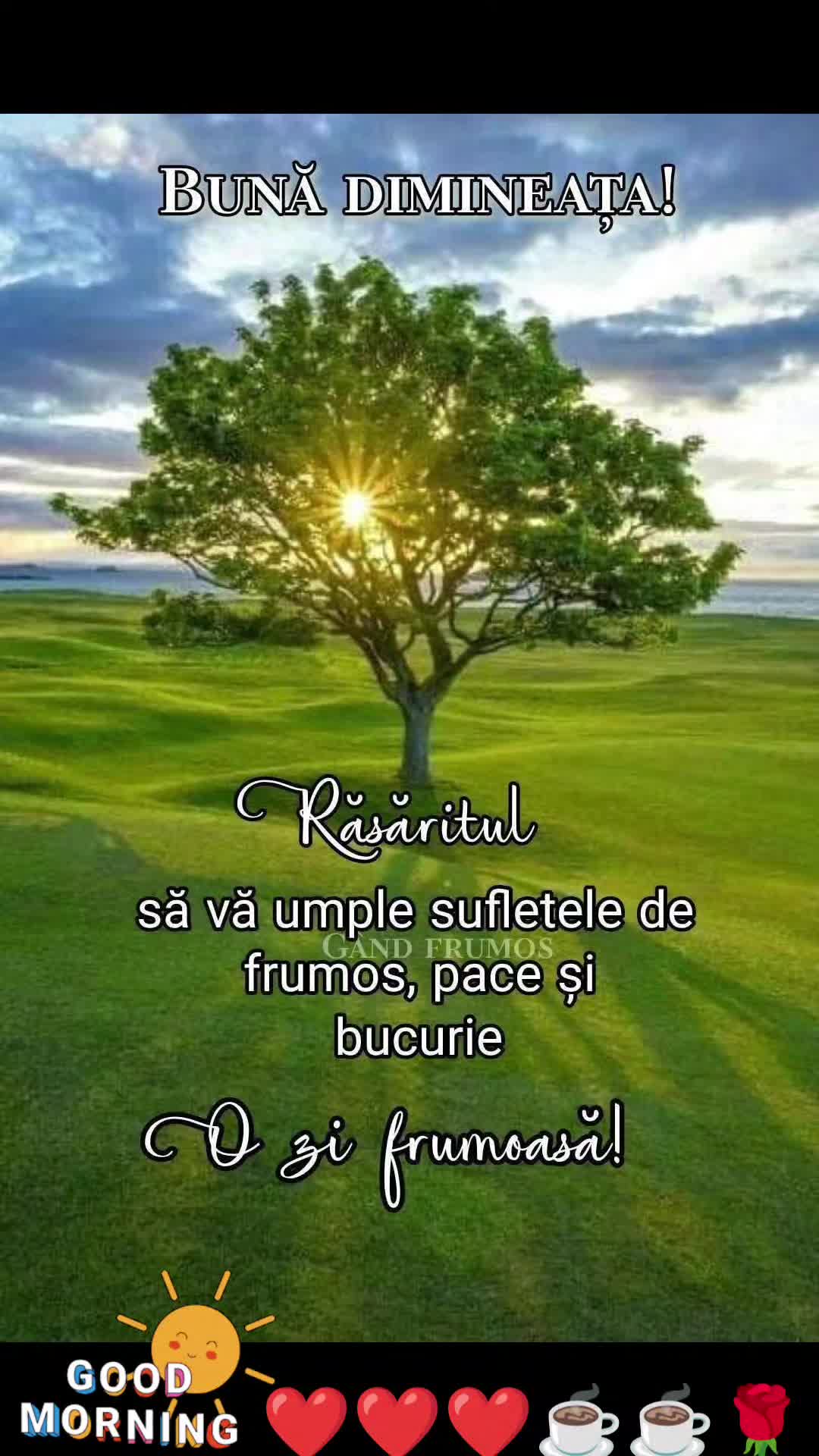 @Veronicaveronica03