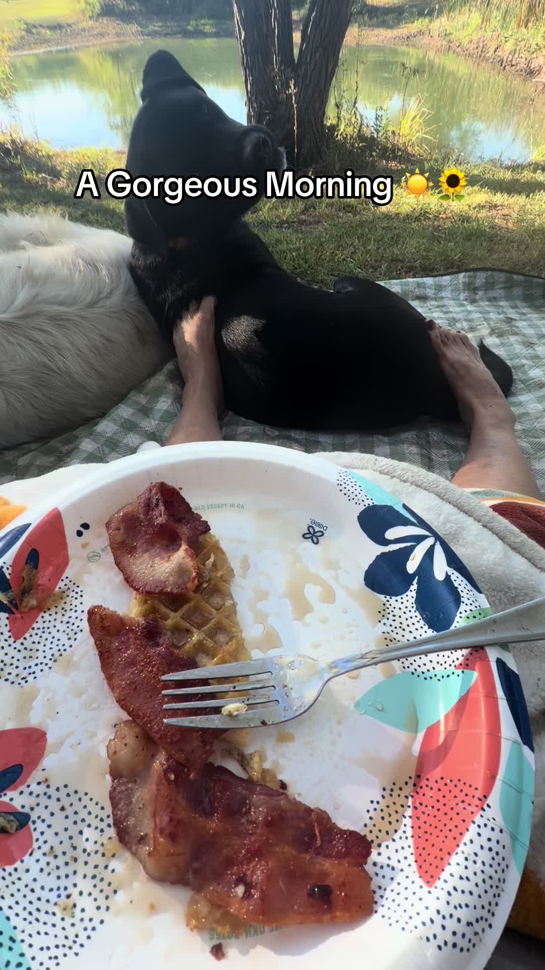 @NonniesFunnyFarm