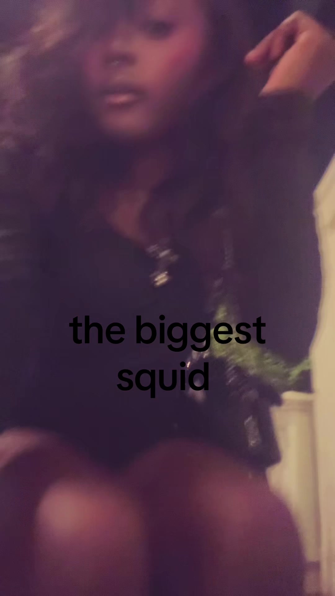 @squid
