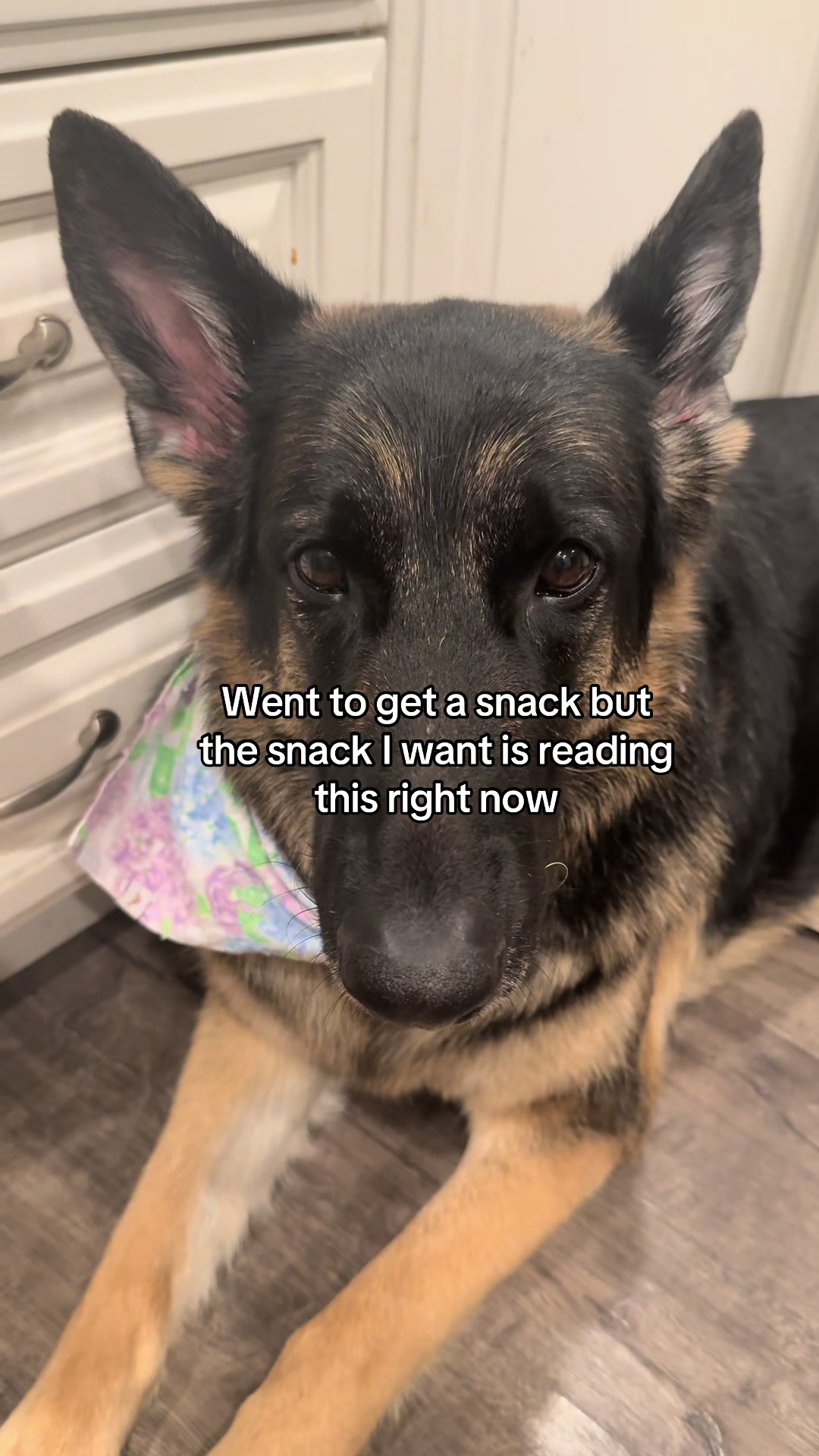 @Bhris