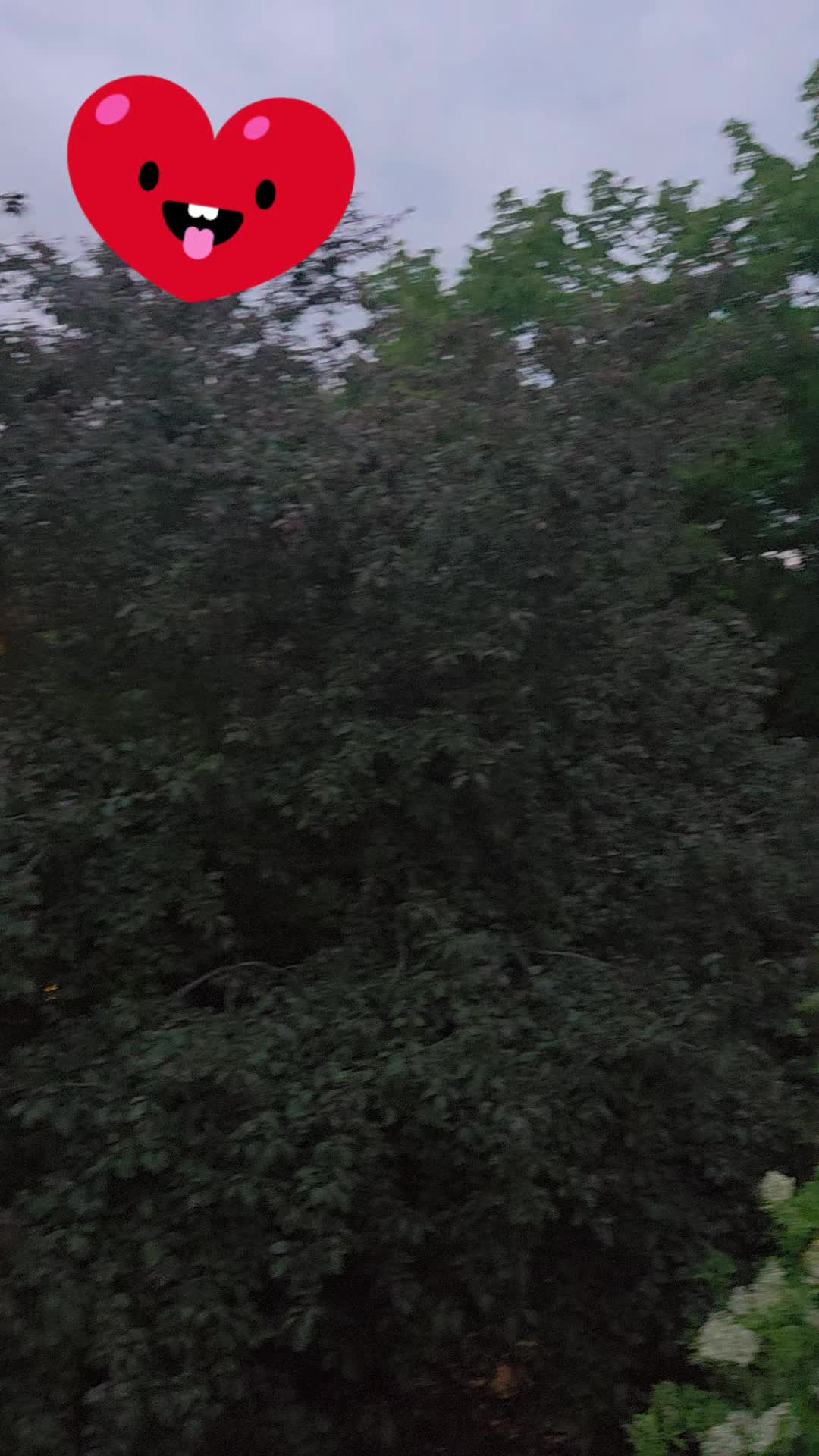 @Lie Cioc&acirc;rlie🧚