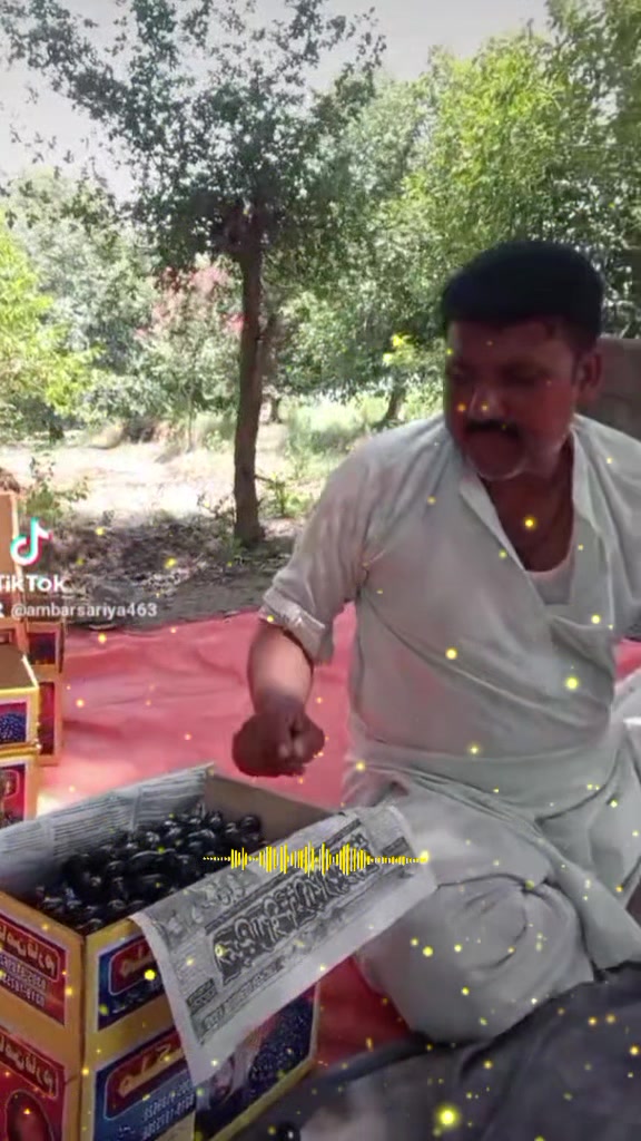 @ambarsariya