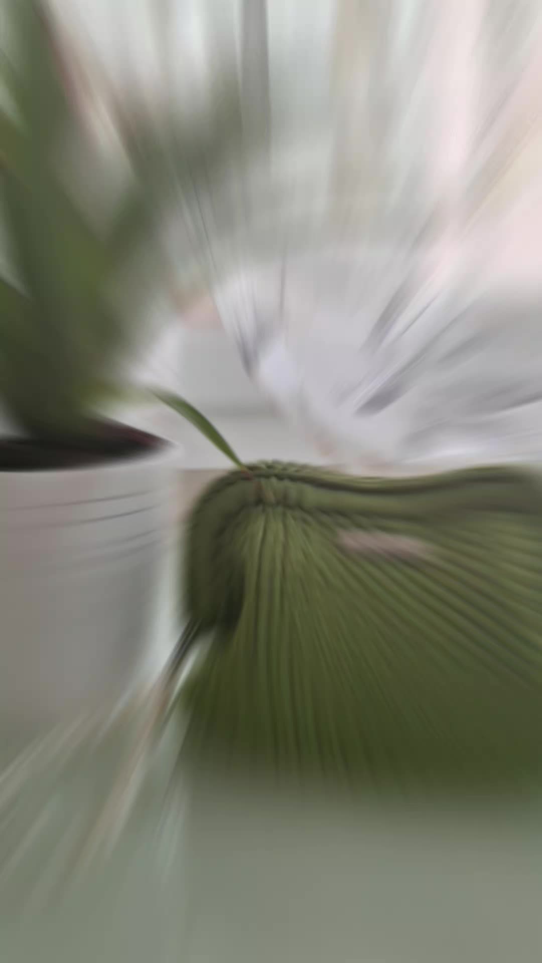 @Vania