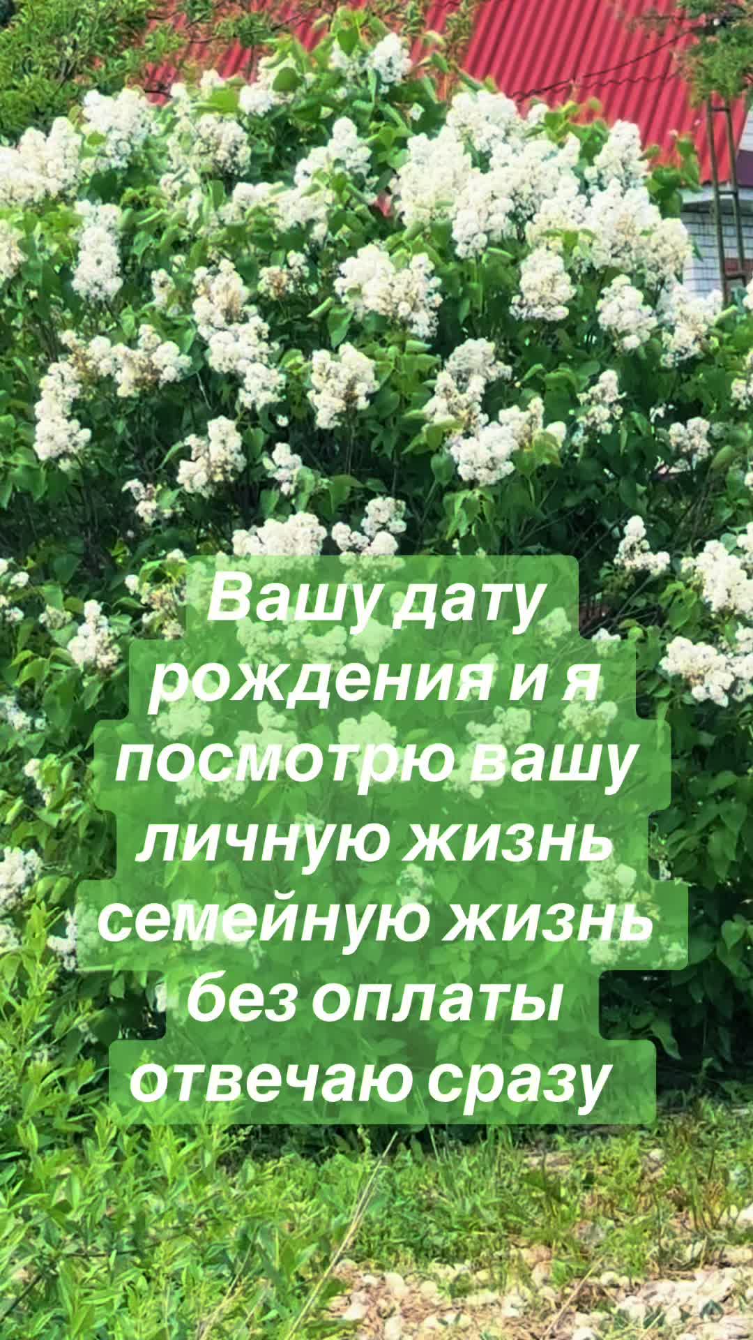 @ясновидящая бабушка Рая