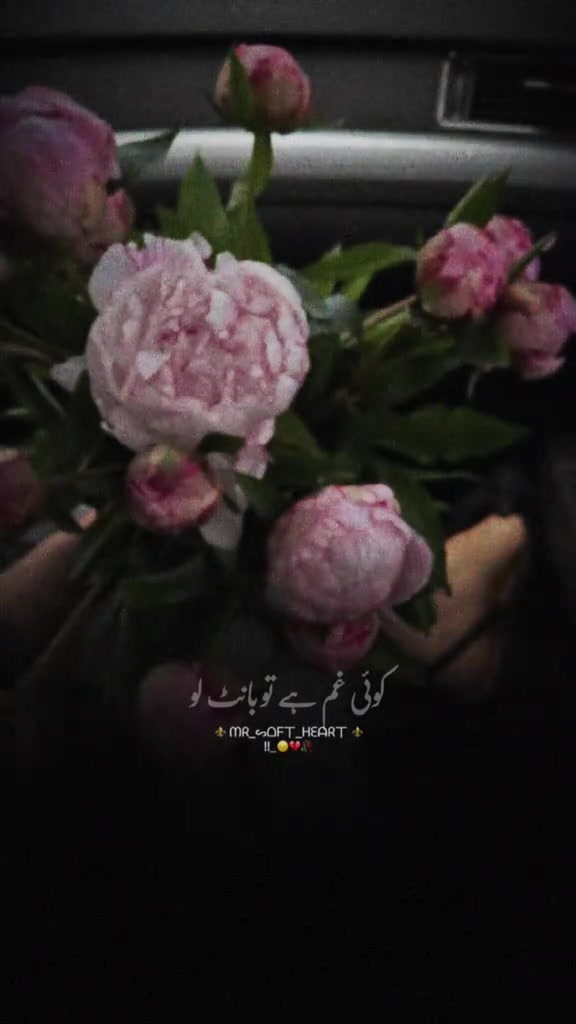@♡ زارا علی ♡