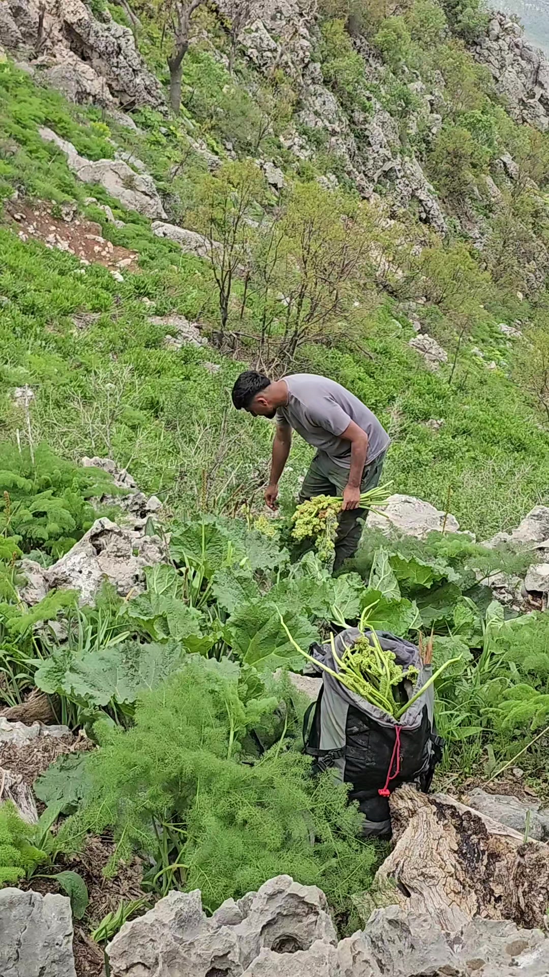@heja_nheli25📸⛰️