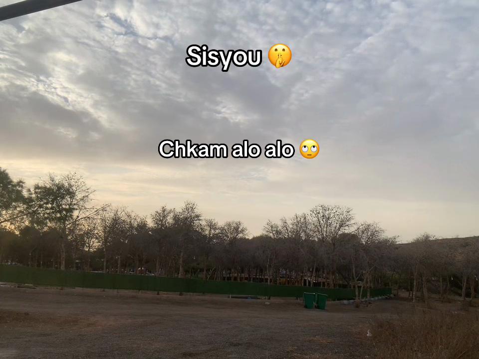 @⚡️🍂