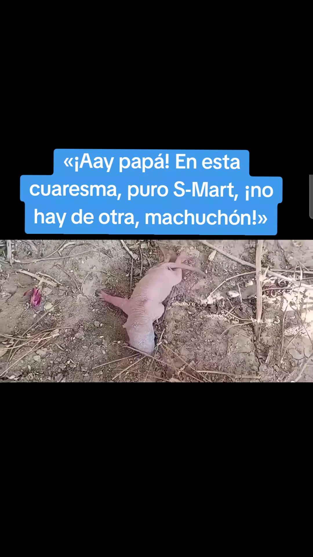 @El Rafita🫣😆