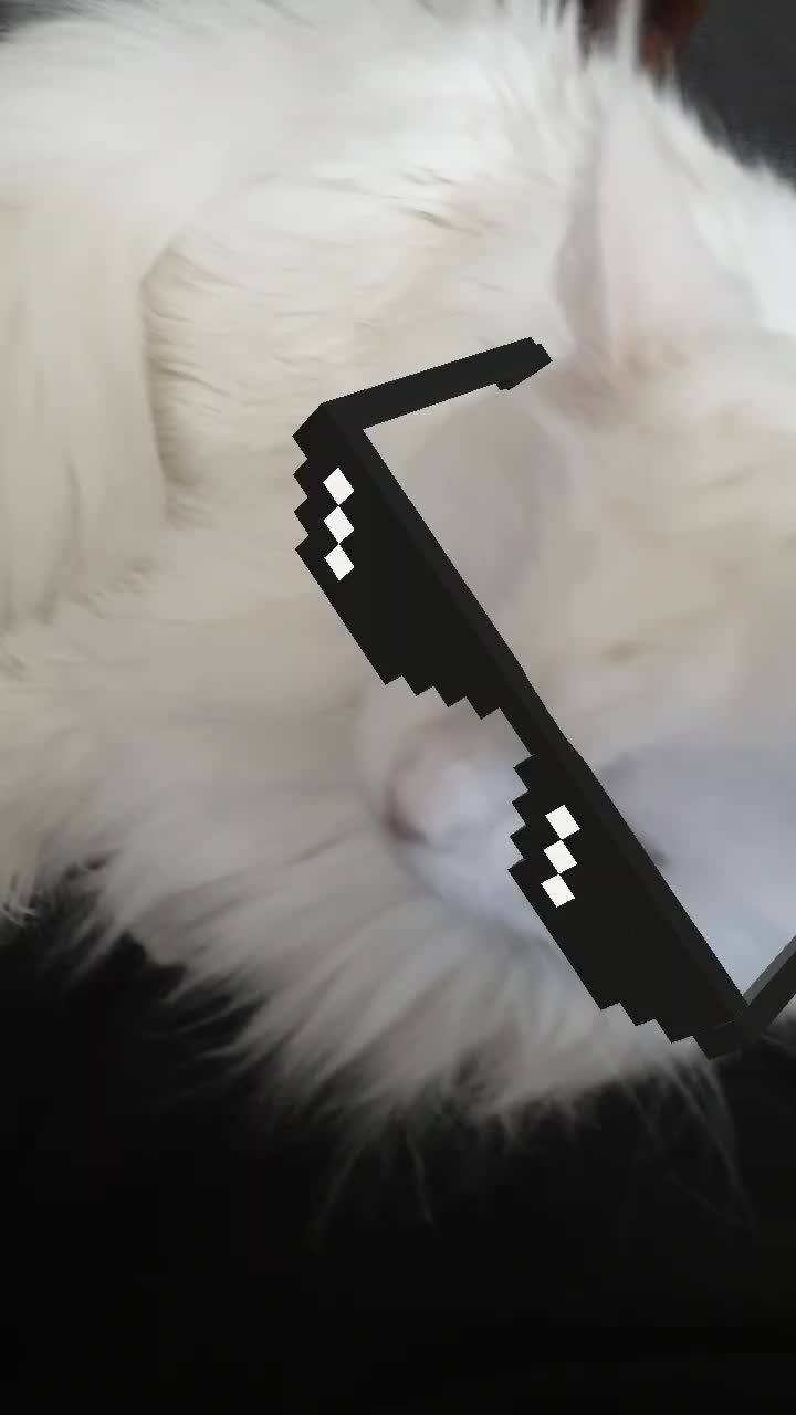 @Linni👱♀️_Luna🐈