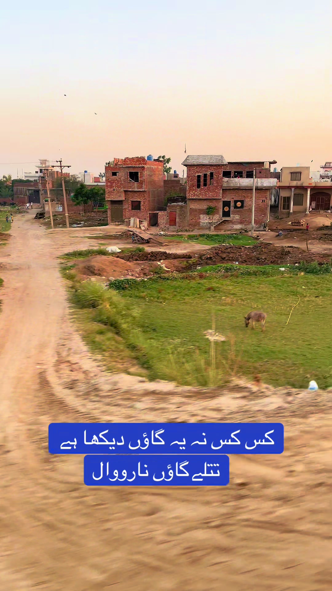 @Rehab Fatima 🇵🇰