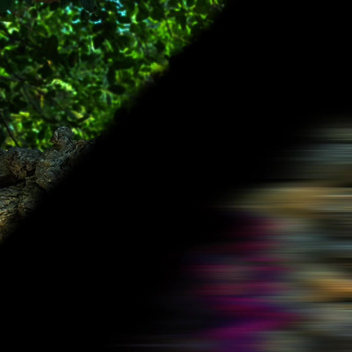 @(සුද්දා ) 𝙳𝙸𝙻 😍𝚜𝚑𝚊𝚗