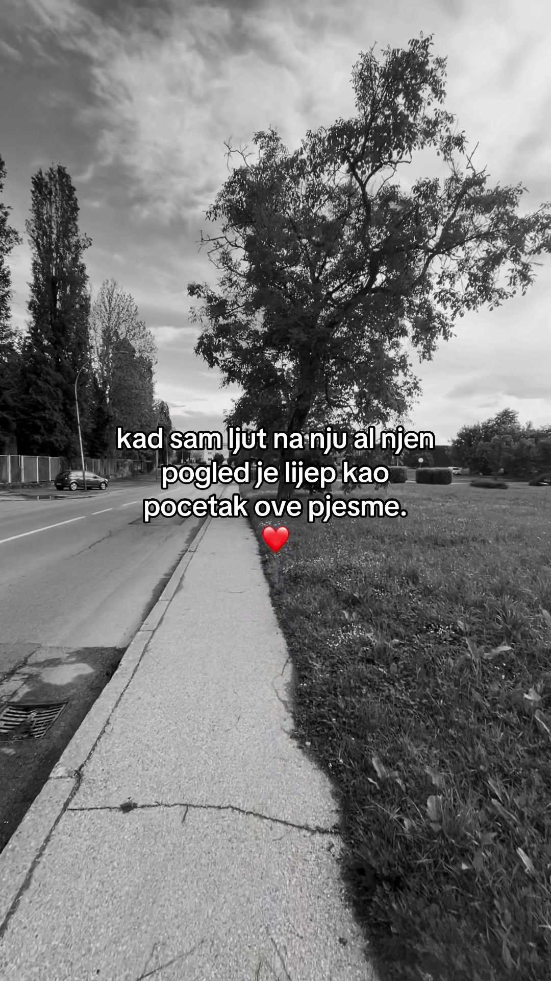 @mcml.adri