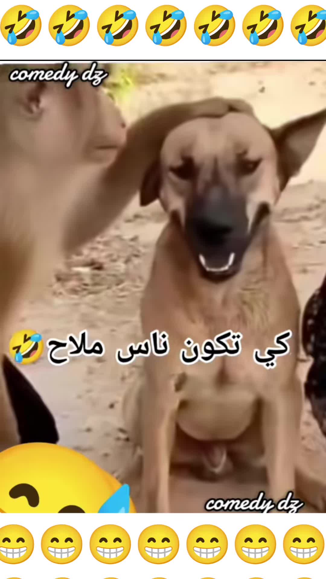 @Comedydz