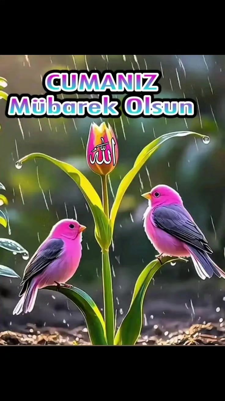 @Nurullah 171