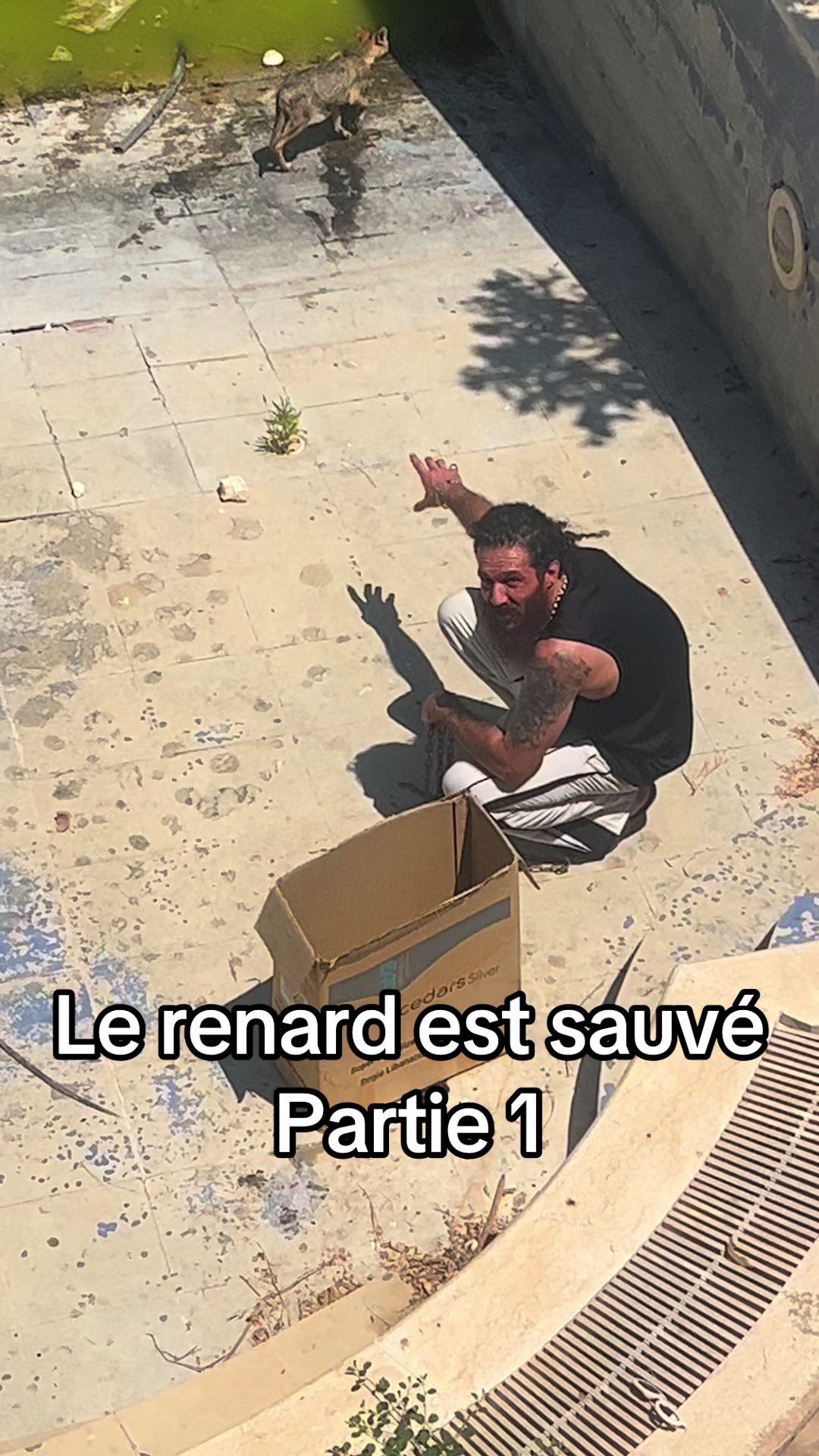@K_le_srat&egrave;ge