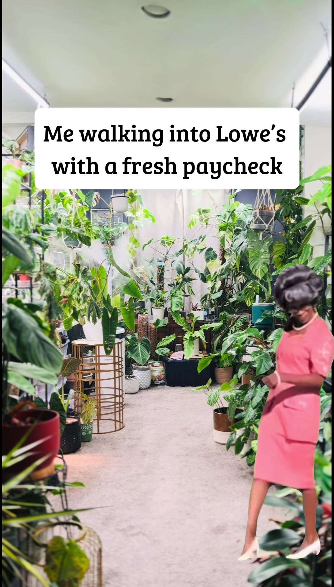 @PlantLadyNico🪴