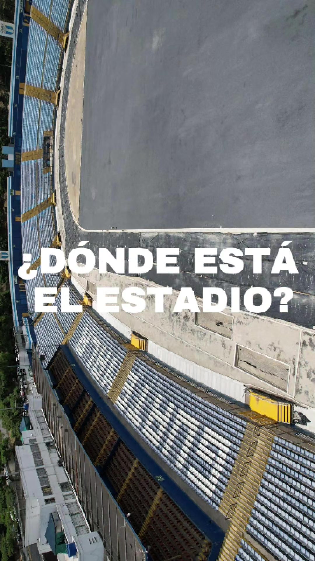 @José Chic