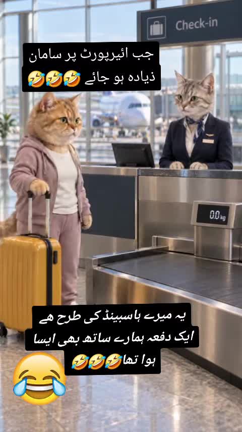 @Zubi🙋♀️زوبی