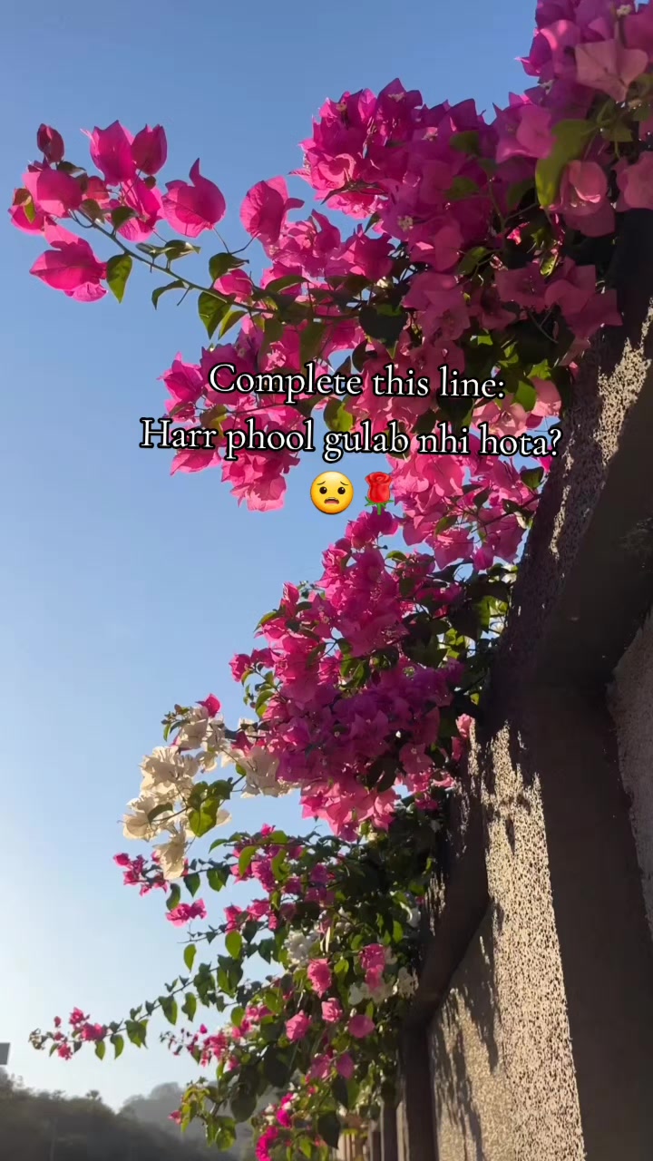 @sanu 🫡