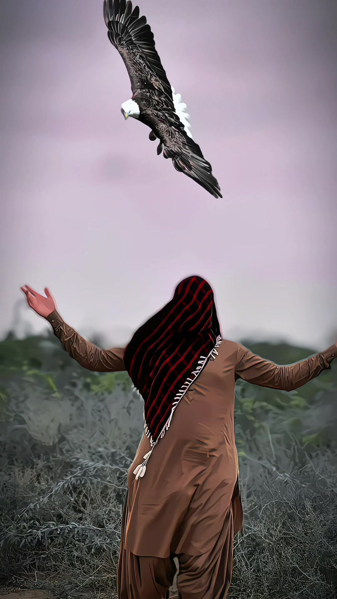 @â ïžïž ð¯ð¬ð¹ð¶ â ïžïž