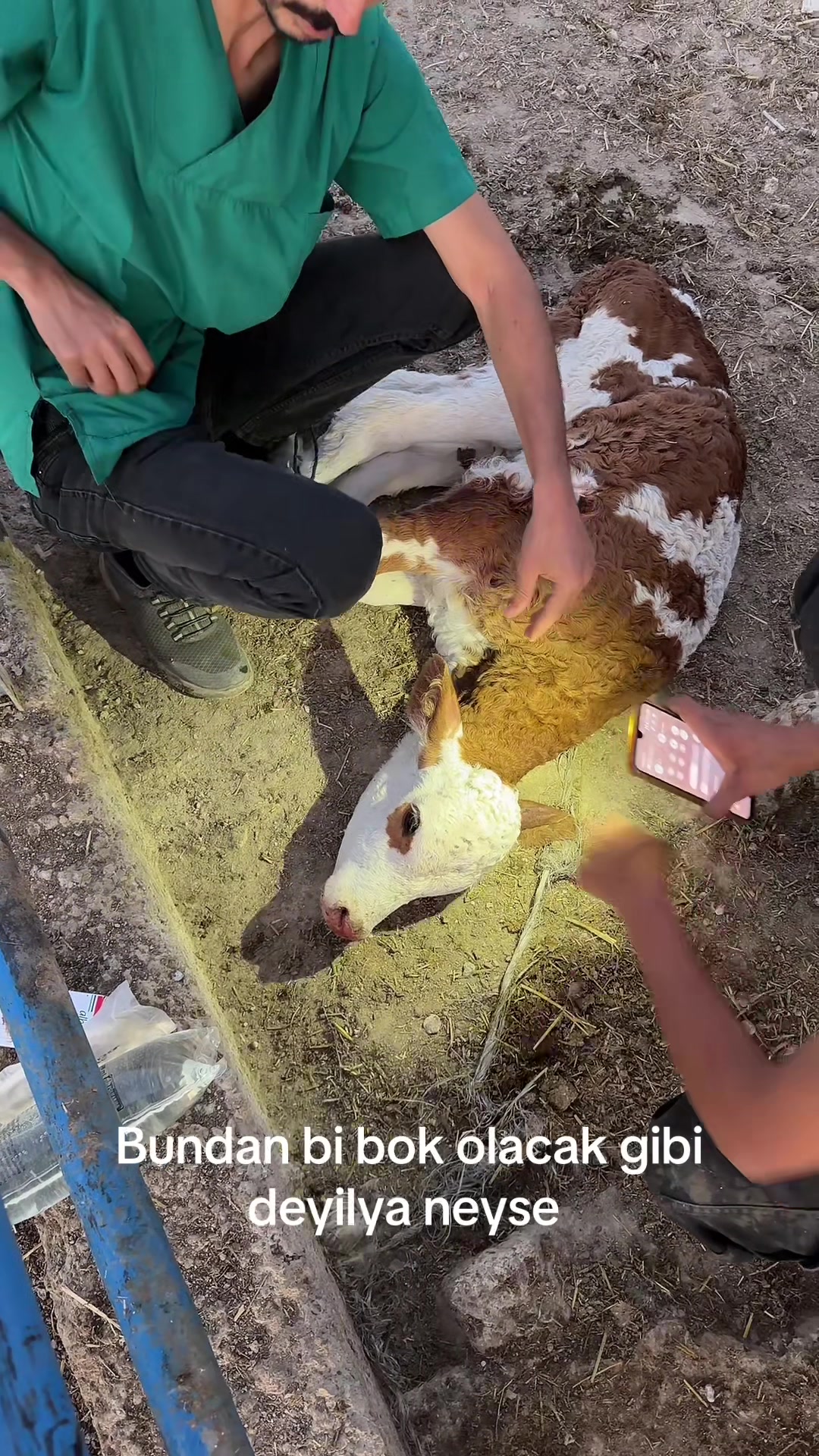 @D.Dağlı