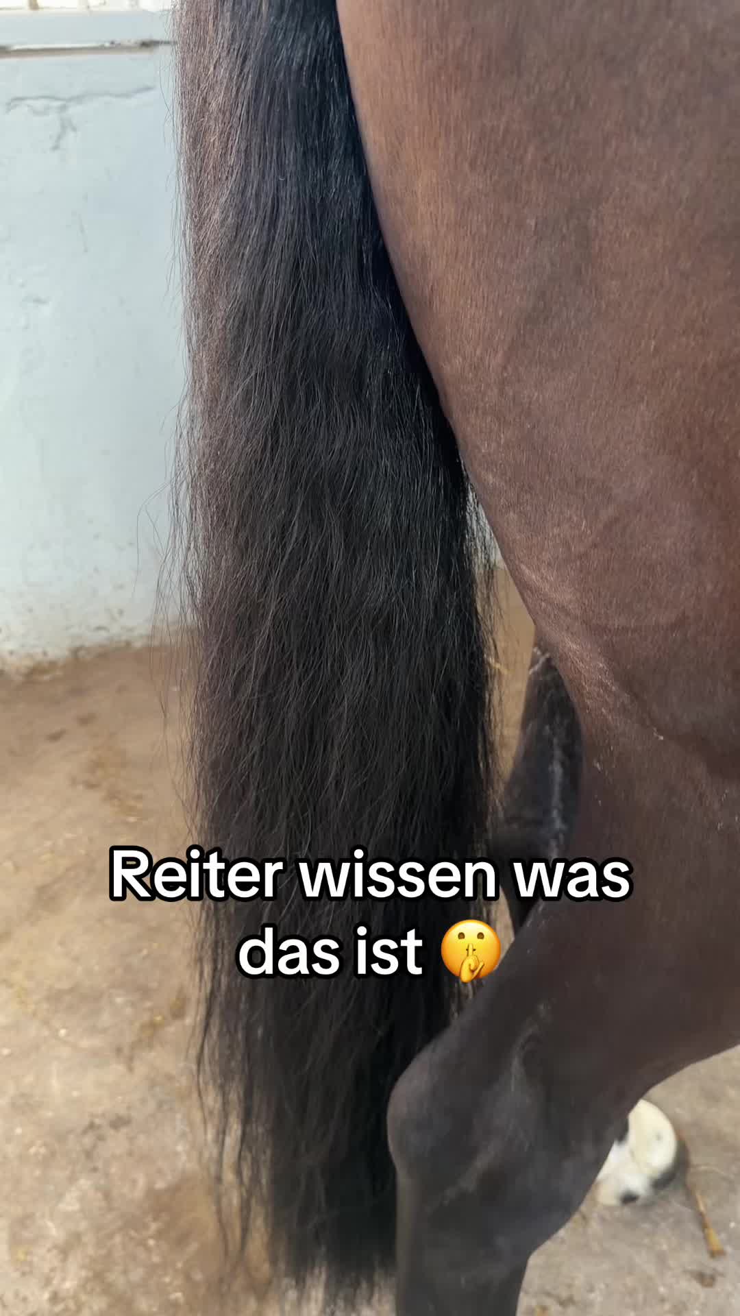 @lilgroponys