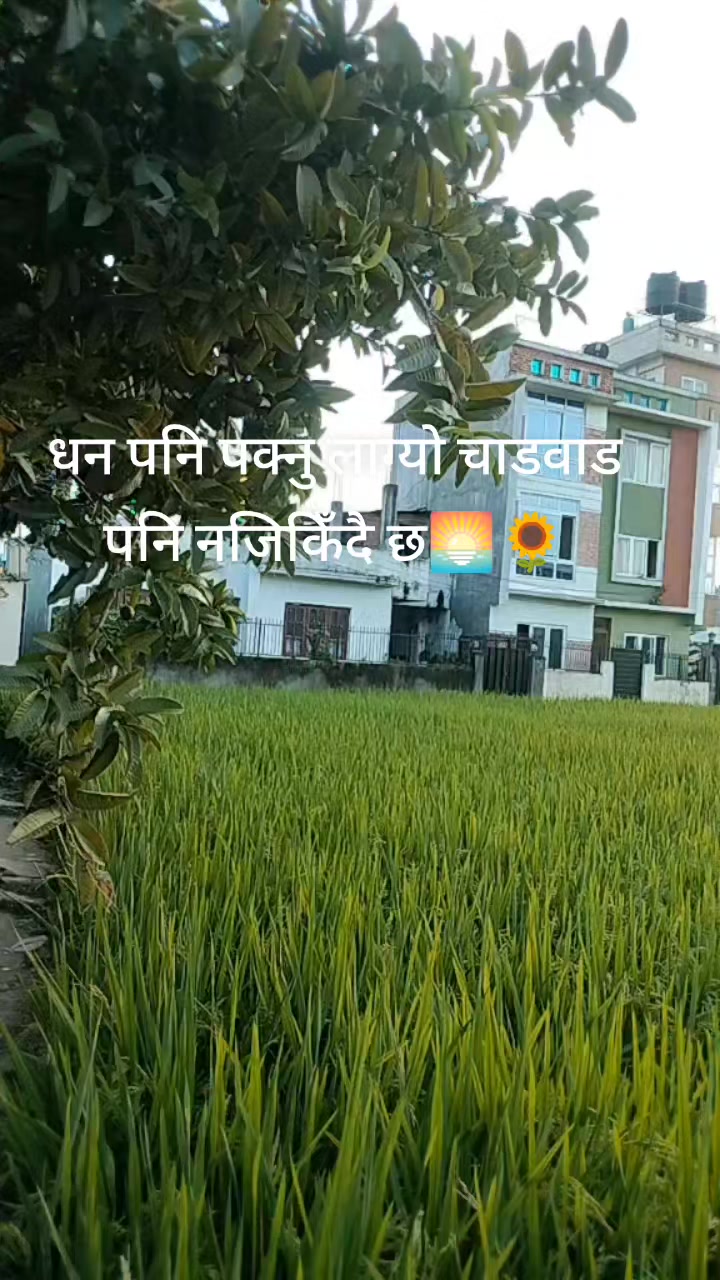 @Renu Khadka