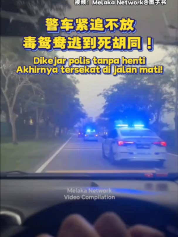 @中国报