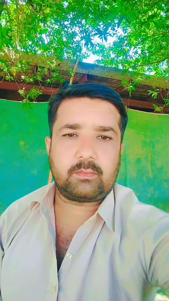 @Masood----Brohi