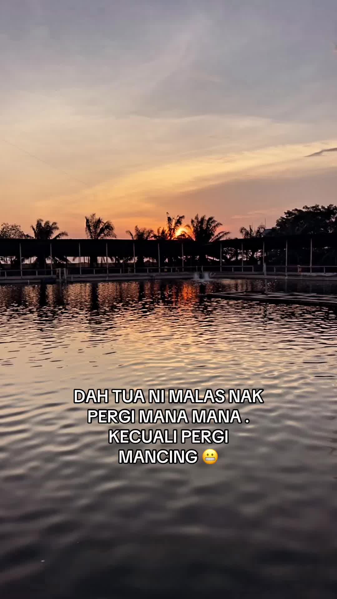 @M Z Reel 🎣