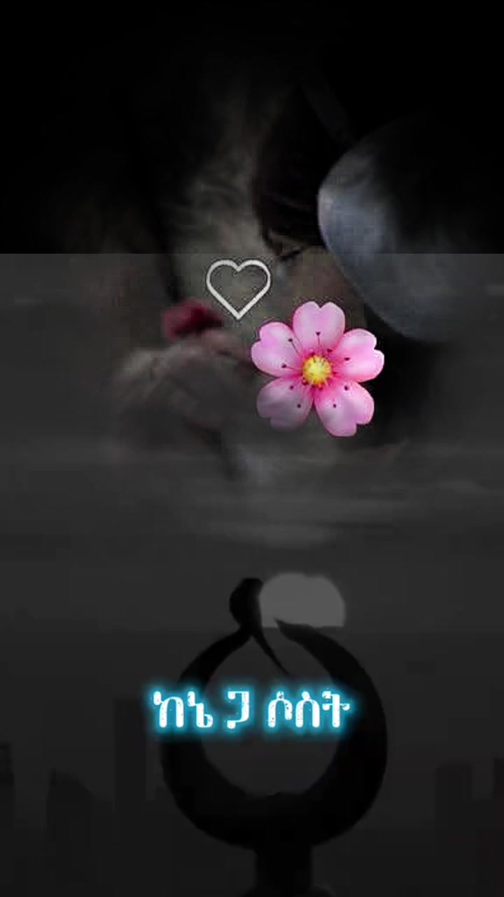 @💙ጦይብሺ💙